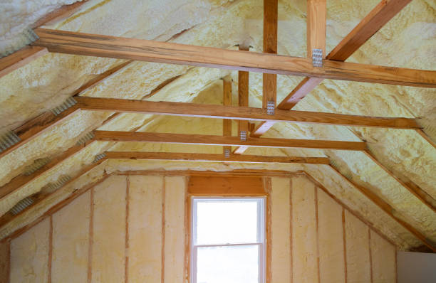 Best Commercial Insulation in Spring Valley, AZ
