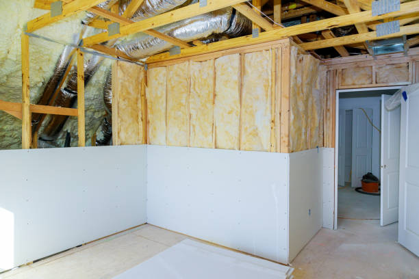 Best Insulation Maintenance and Repair in Spring Valley, AZ