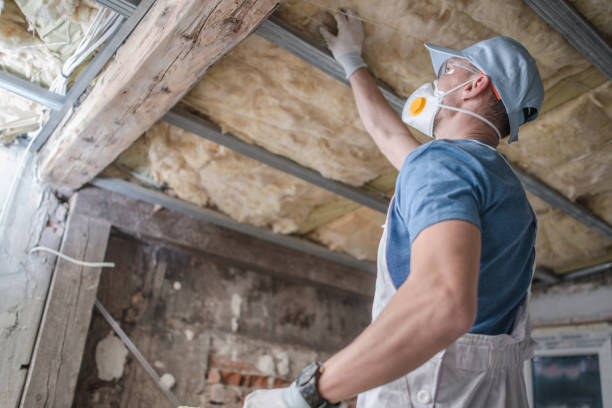 Best Insulation for Specific Applications in Spring Valley, AZ